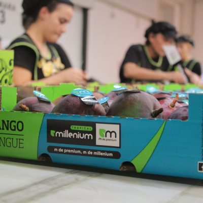 M de Premium Packaging