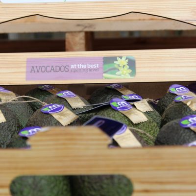 Aguacates Premium Milenium