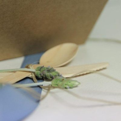 tropical-millenium-fiestas-2016