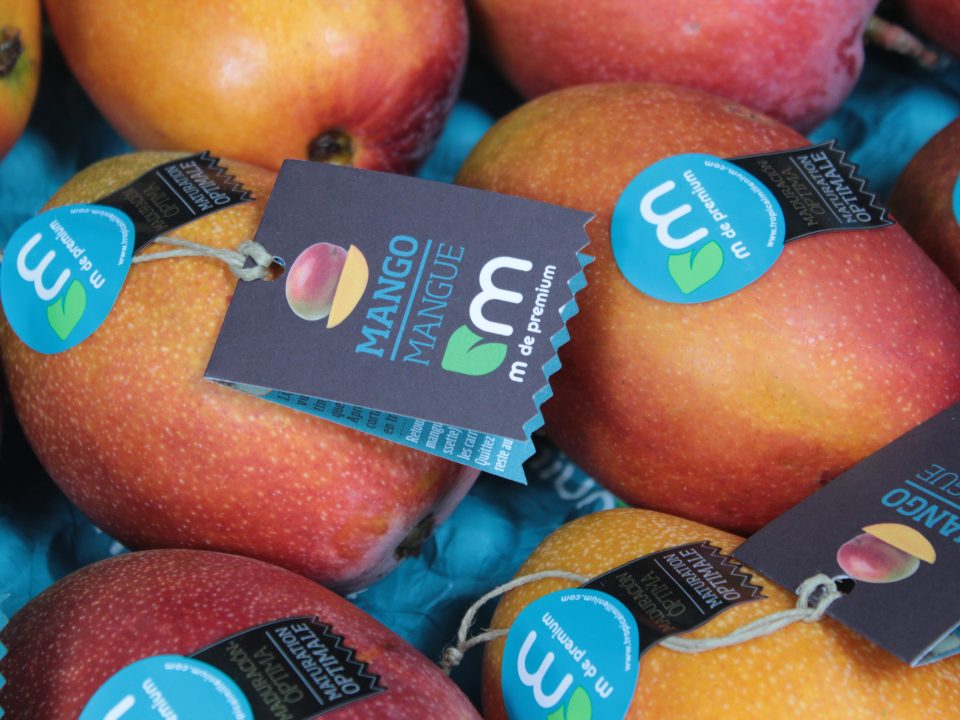 Tropical Milenium - Edición Limitada