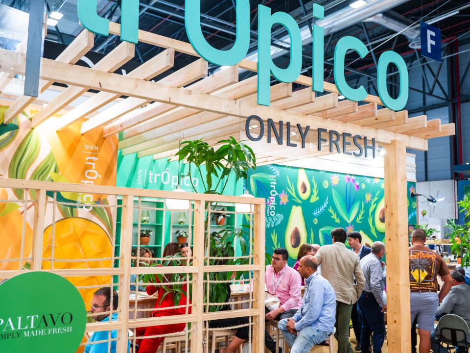 Proyecto arquitectura efímera